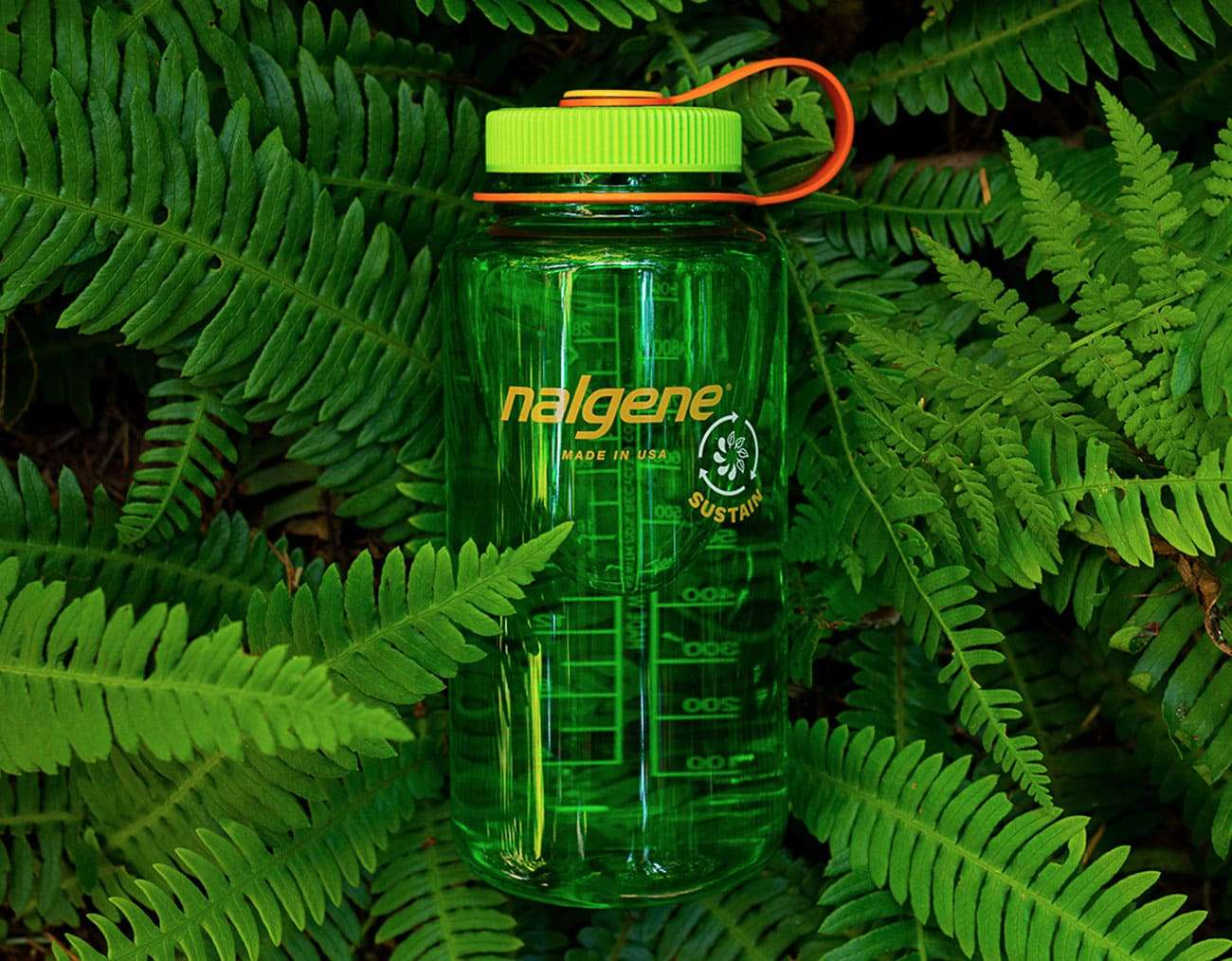 Nalgene 32 oz Sustain Water Bottle