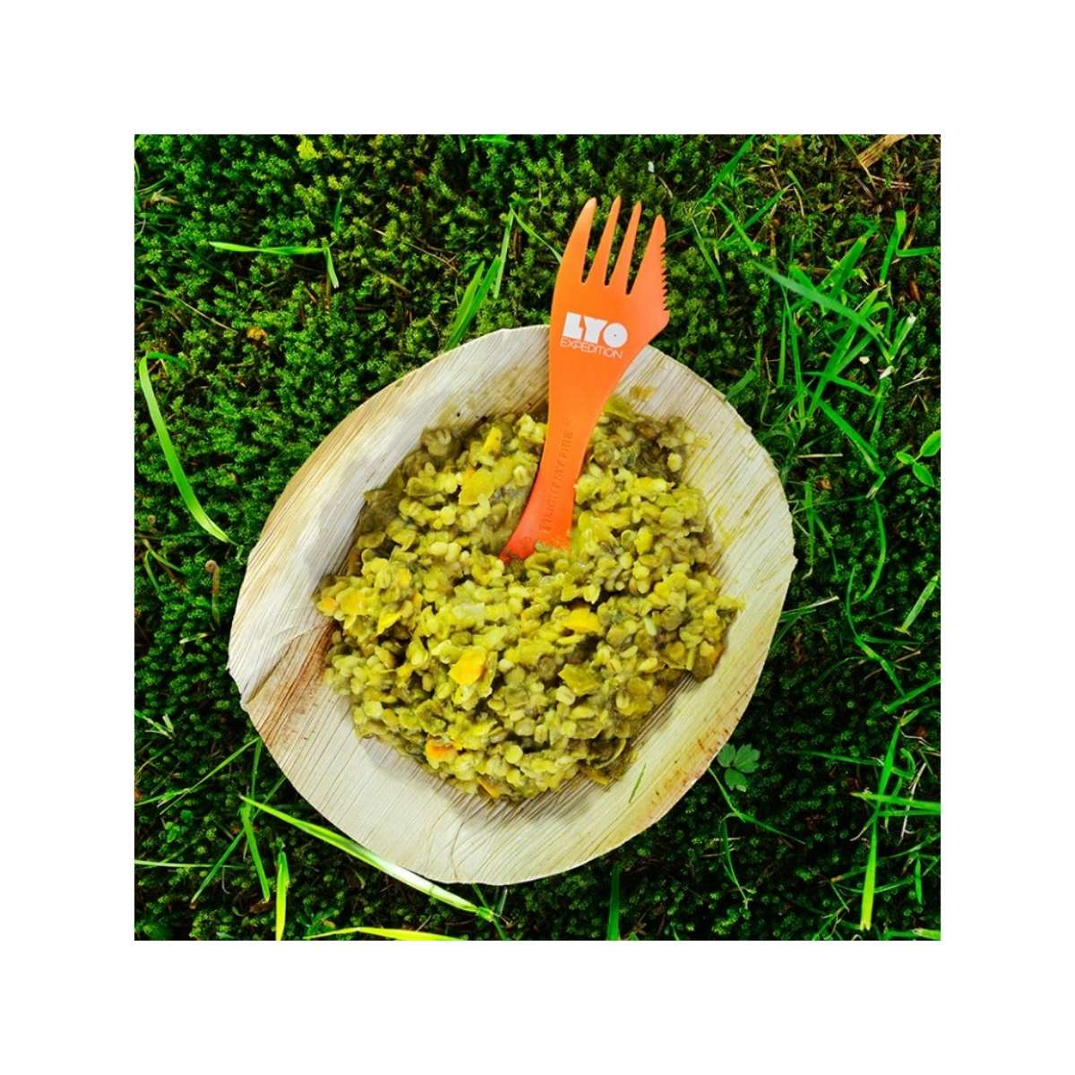 LYOFOOD Risotto d'orge perlée avec lentilles et avocat