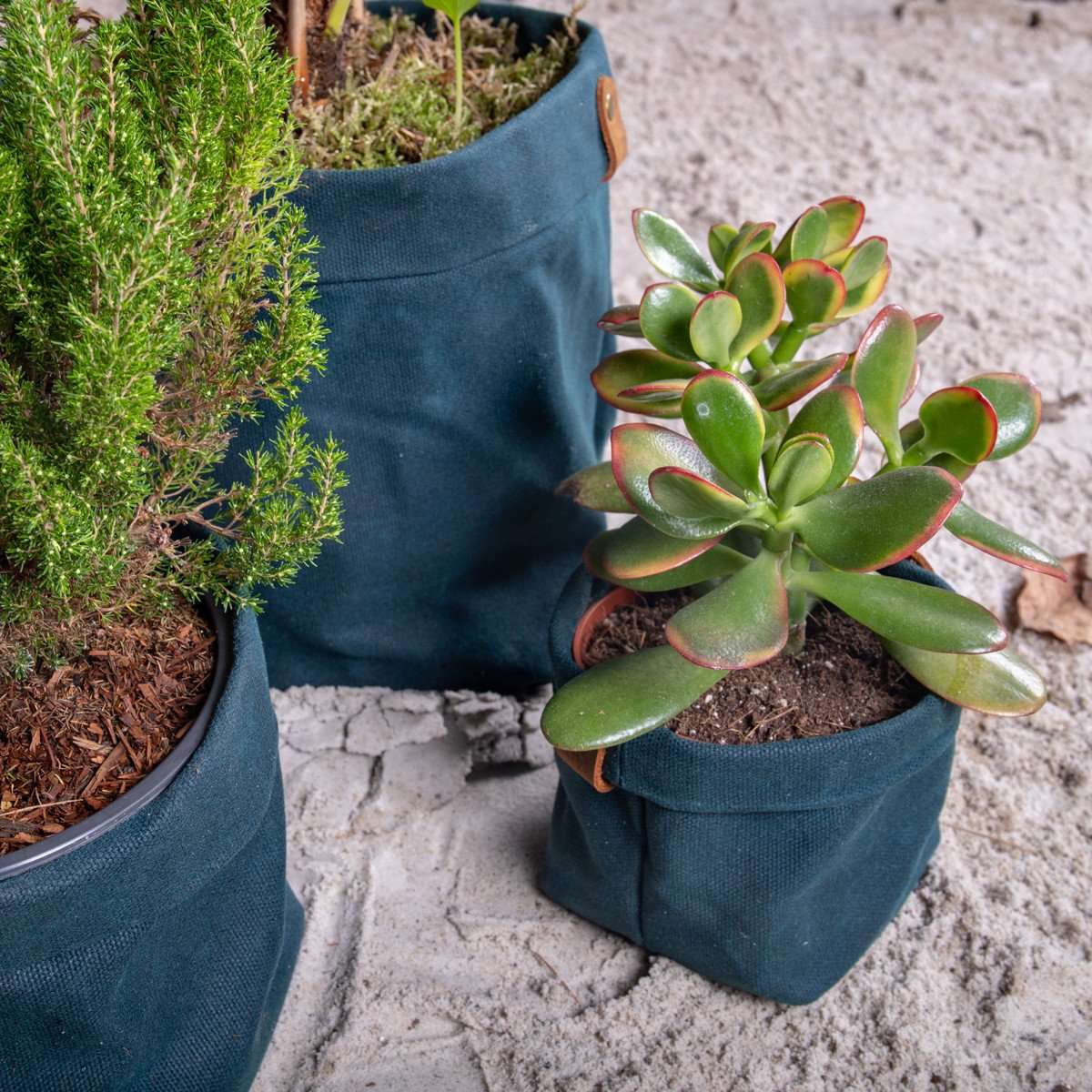 Alaskan Maker SHELTER Bolsa de almacenamiento