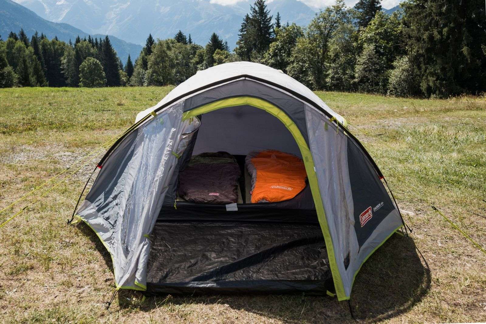 Coleman Darwin 4 Plus — tente de camping pour 4 personnes