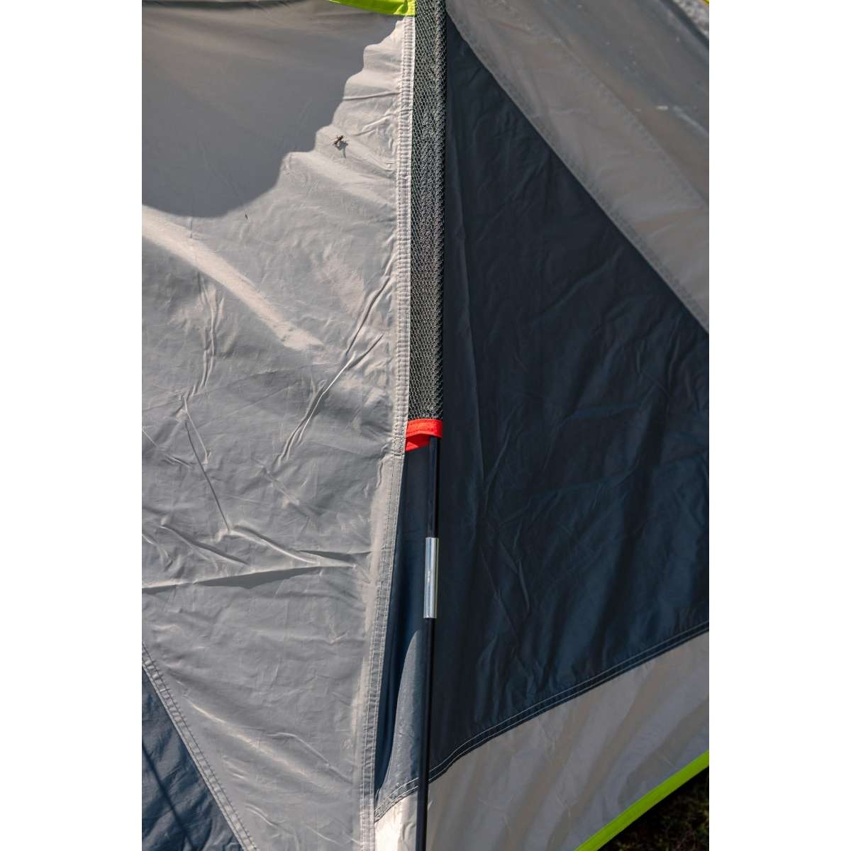 Coleman Darwin 4 Plus — tente de camping pour 4 personnes