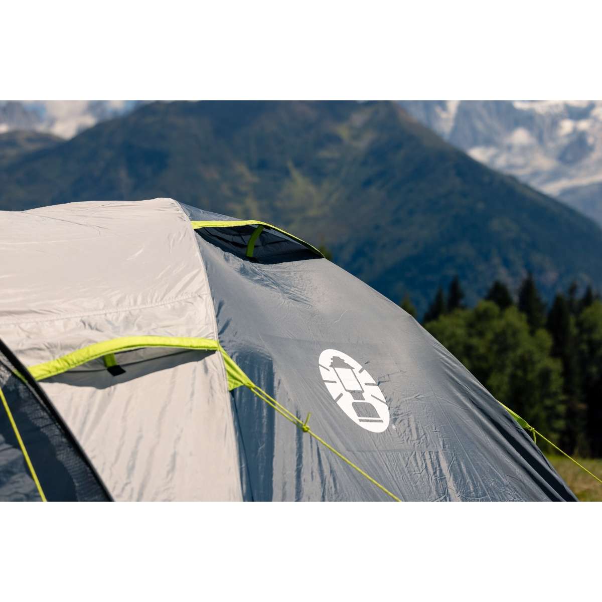 Coleman Darwin 4 Plus — tente de camping pour 4 personnes