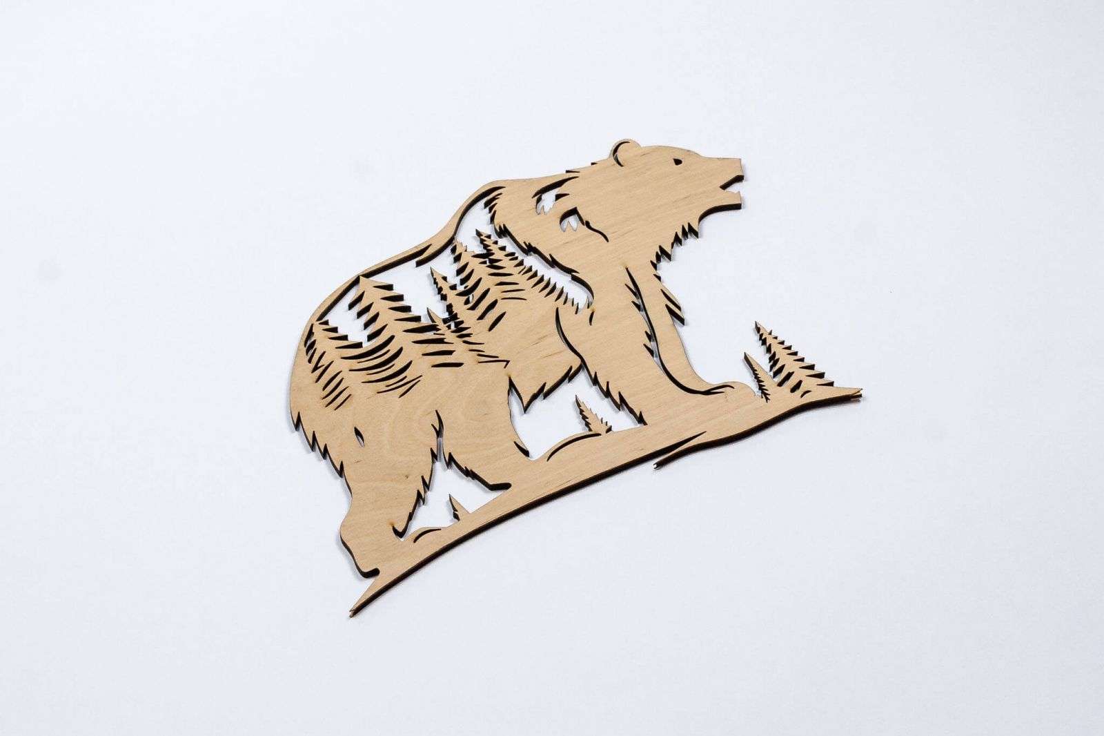 Orso nella foresta