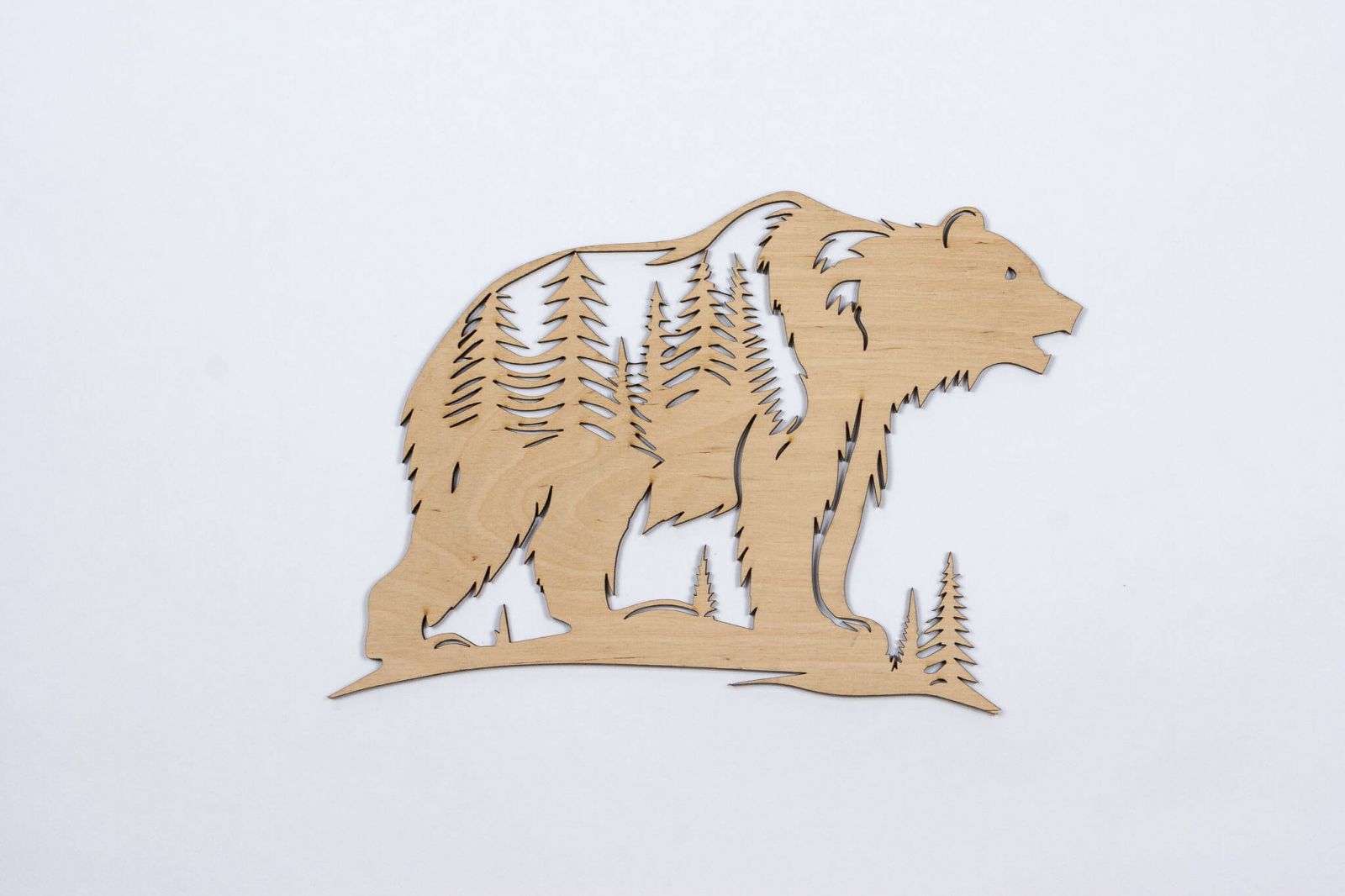 Orso nella foresta