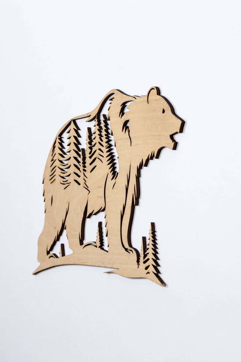 Orso nella foresta