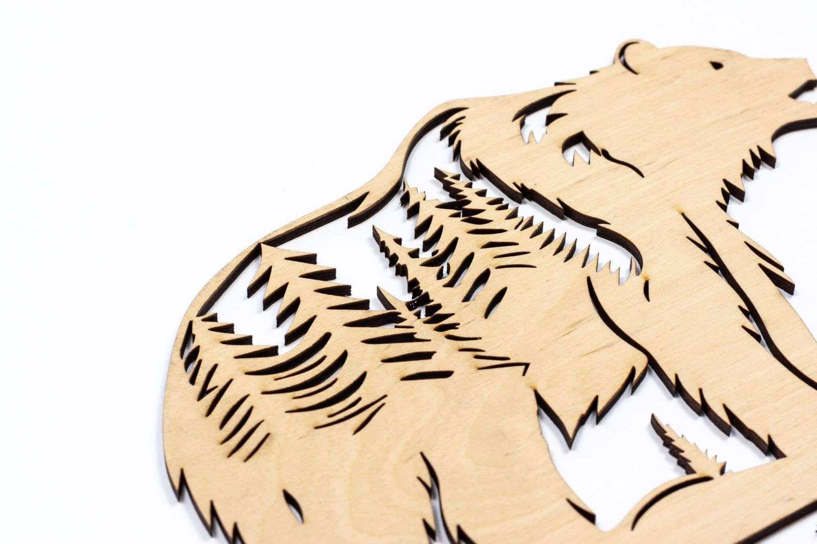 Orso nella foresta