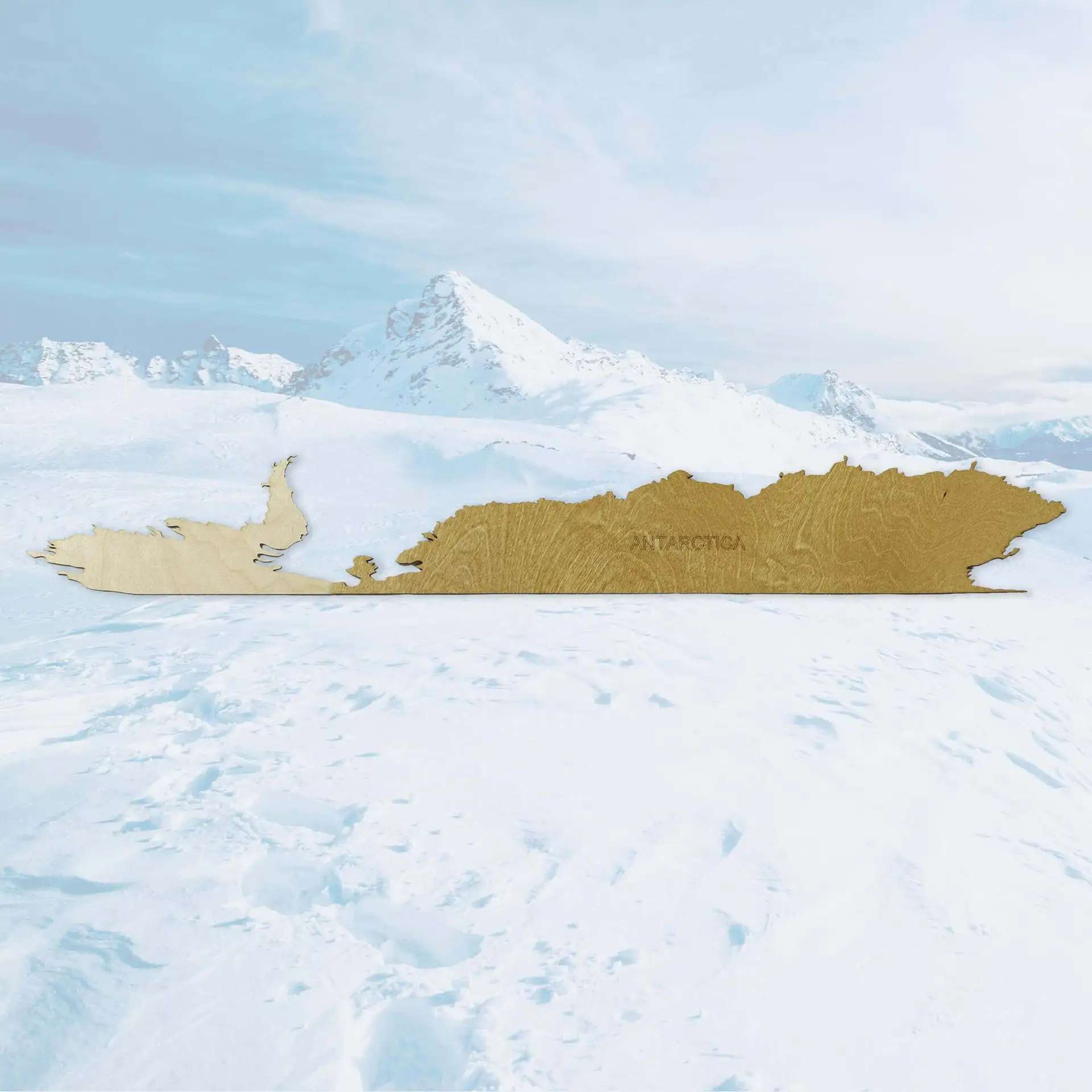2D Antarctica panou din lemn cu 2 straturi