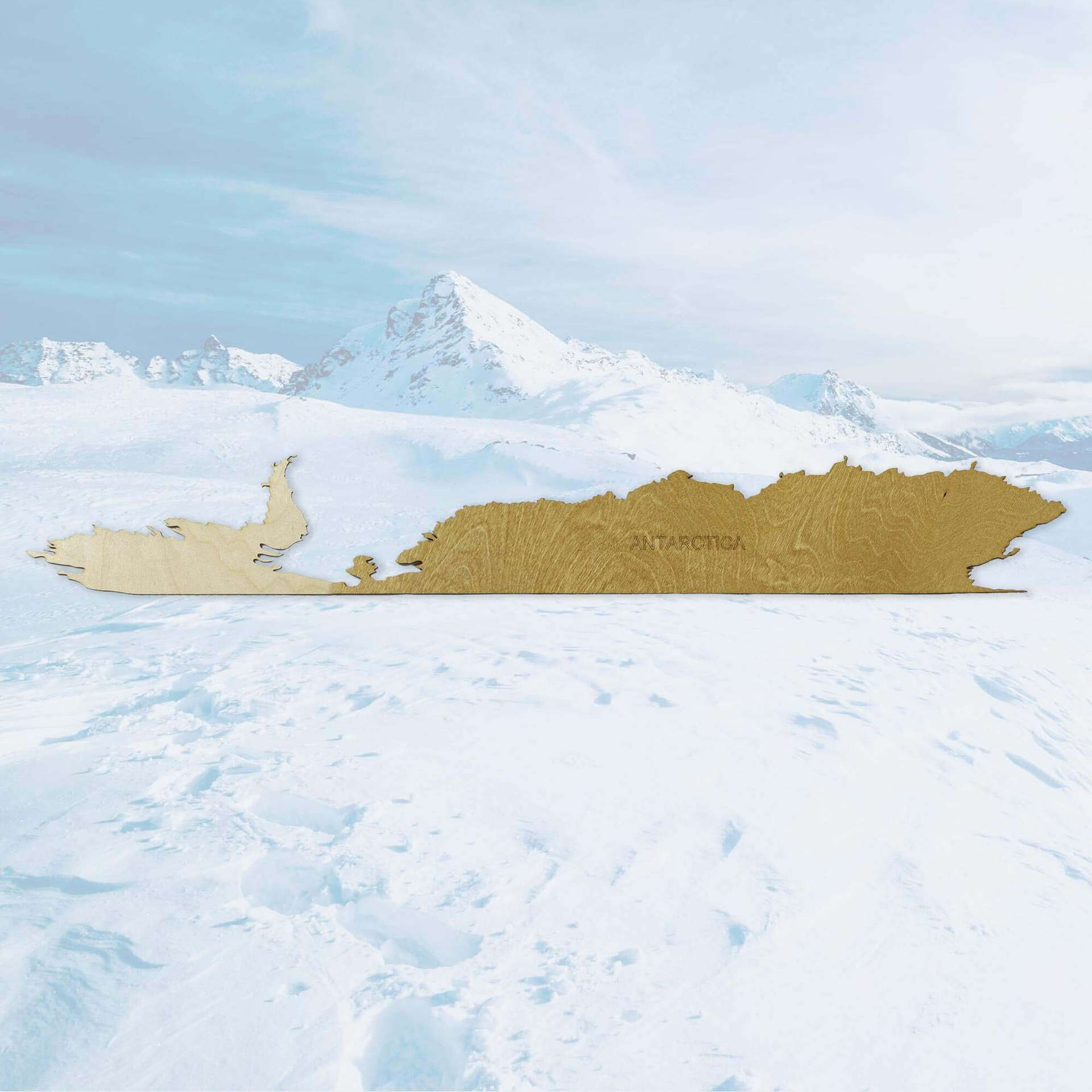 3D Antarctica panou din lemn cu 2 straturi