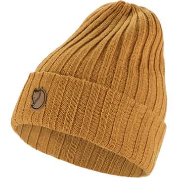 Acorn