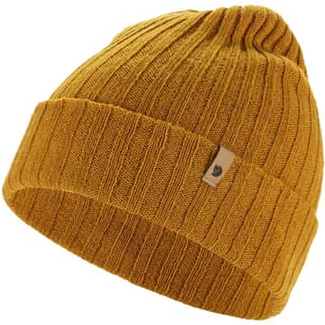 Acorn