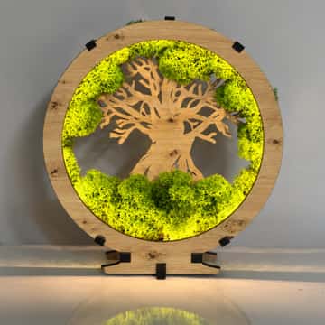 Licht eiken