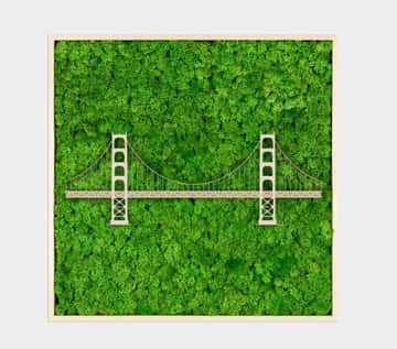 Podul Golden Gate