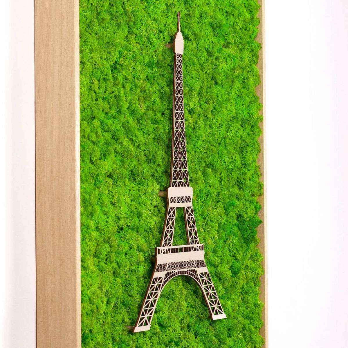 Framed World Landmark Lichen Artwork