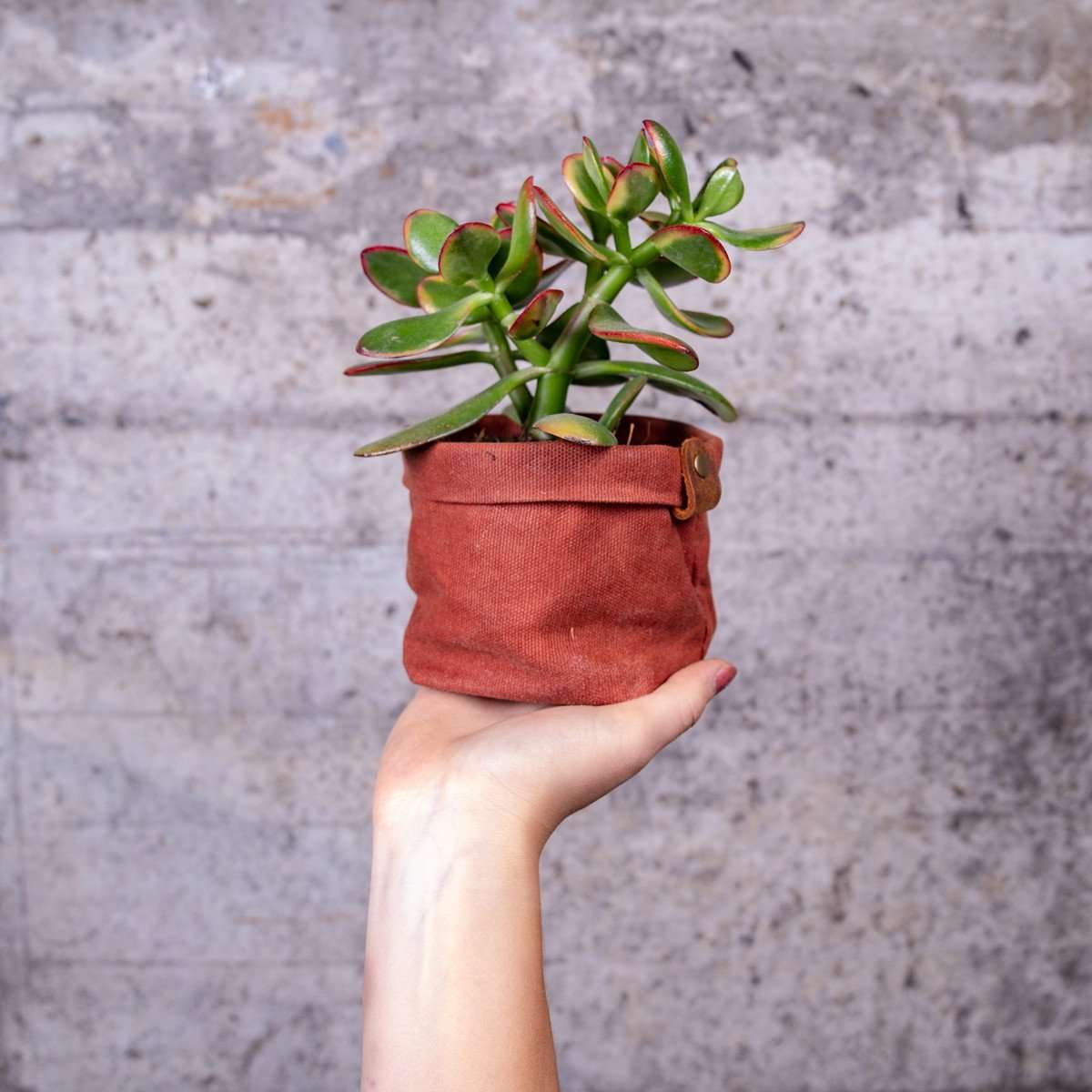 Alaskan Maker SHELTER Geantă de depozitare