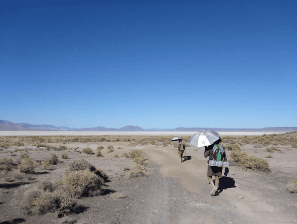 Umbrelă ultraușoară Six Moon Designs Silver Shadow