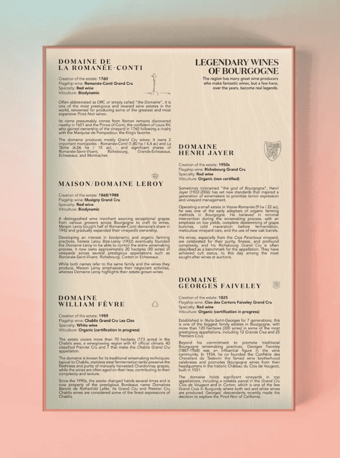 Water and Wines Bourgogne Wine Puzzle