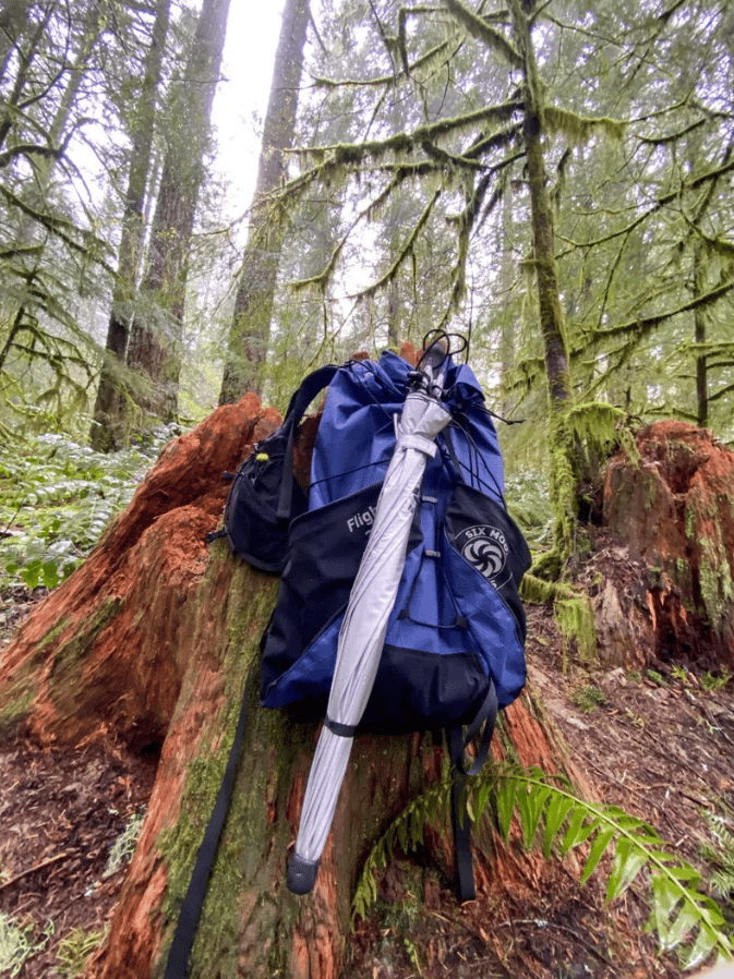 Six Moon Designs Silver Shadow Carbon Paraguas de trekking