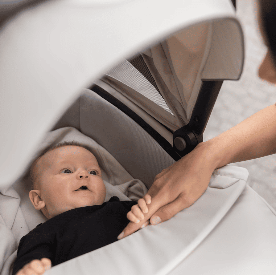 Thule Prenosna nosiljka