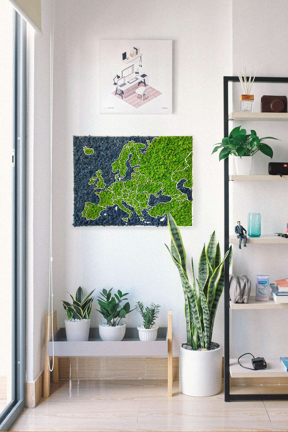 Moss 3D Map of Europe - natural Nordic lichen