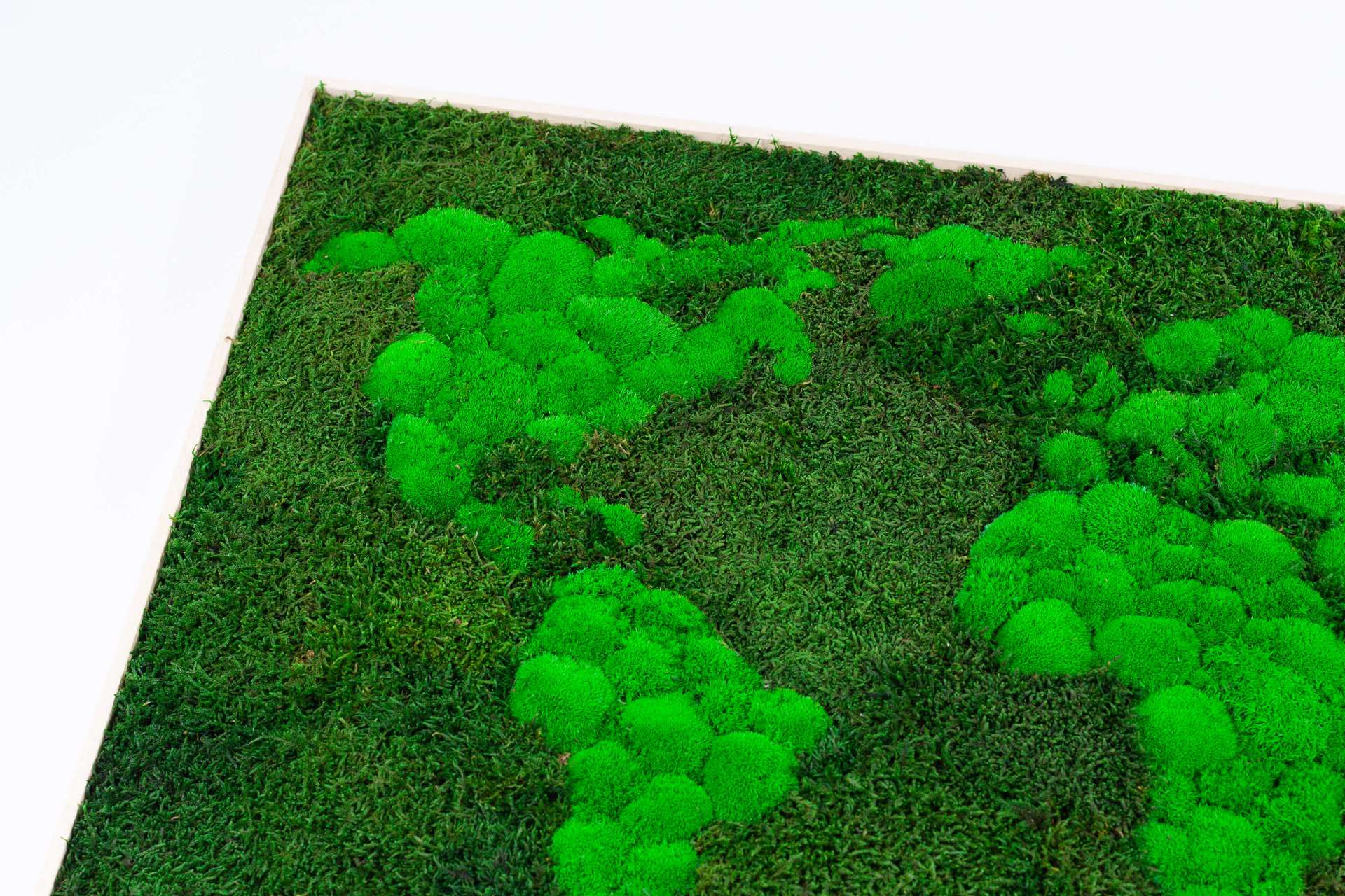 Mappa del mondo 3D in muschio