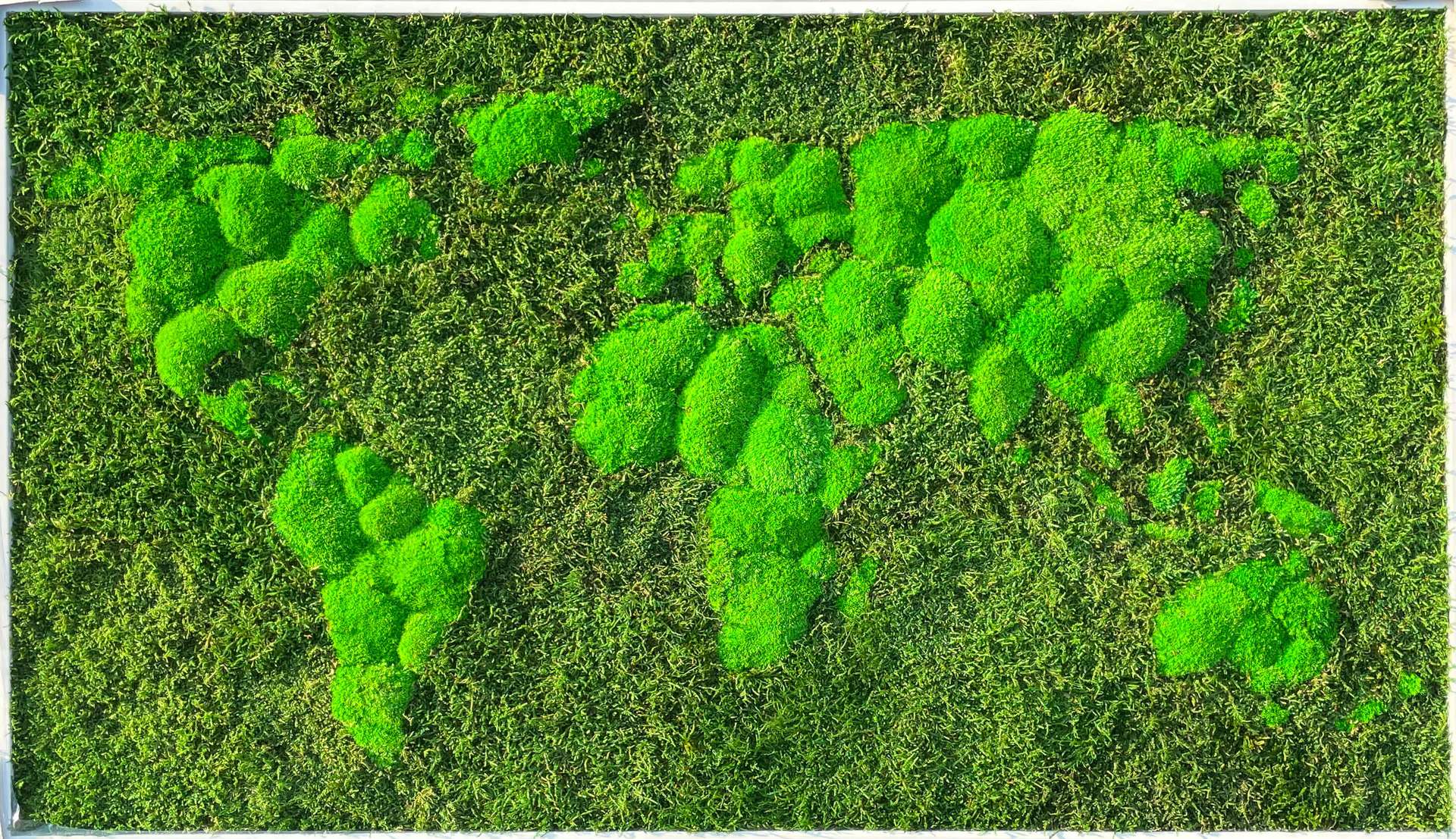 Moss World 3D Map
