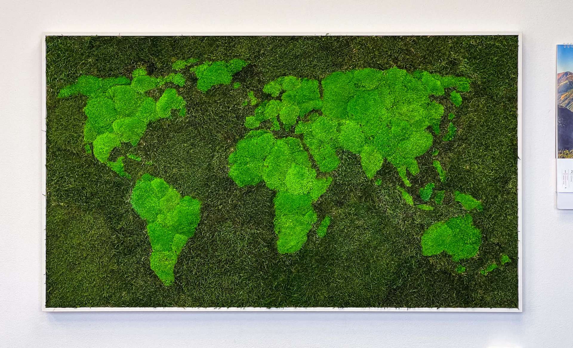 Mappa del mondo 3D in muschio