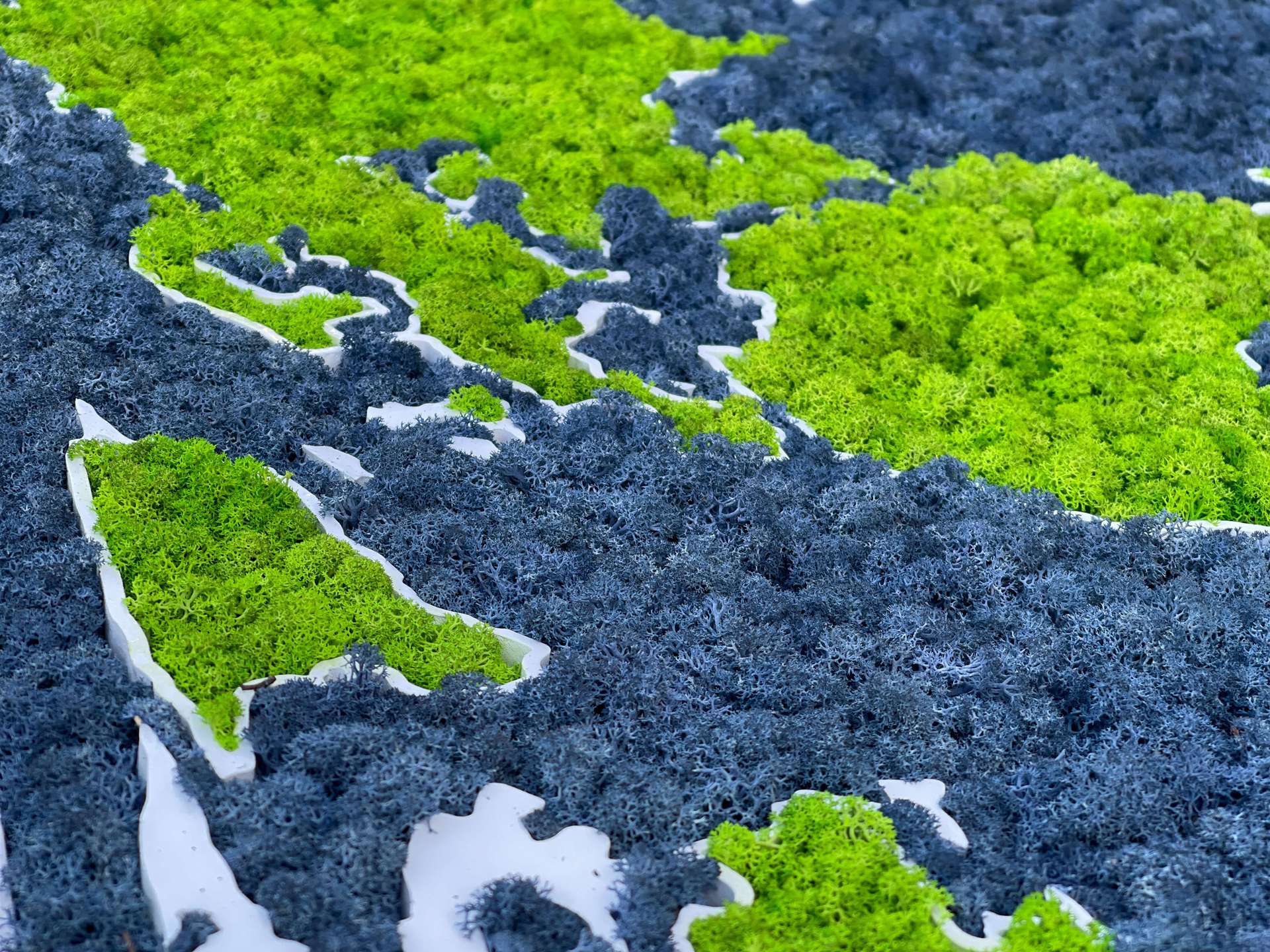 Moss 3D World Map - natural Nordic lichen