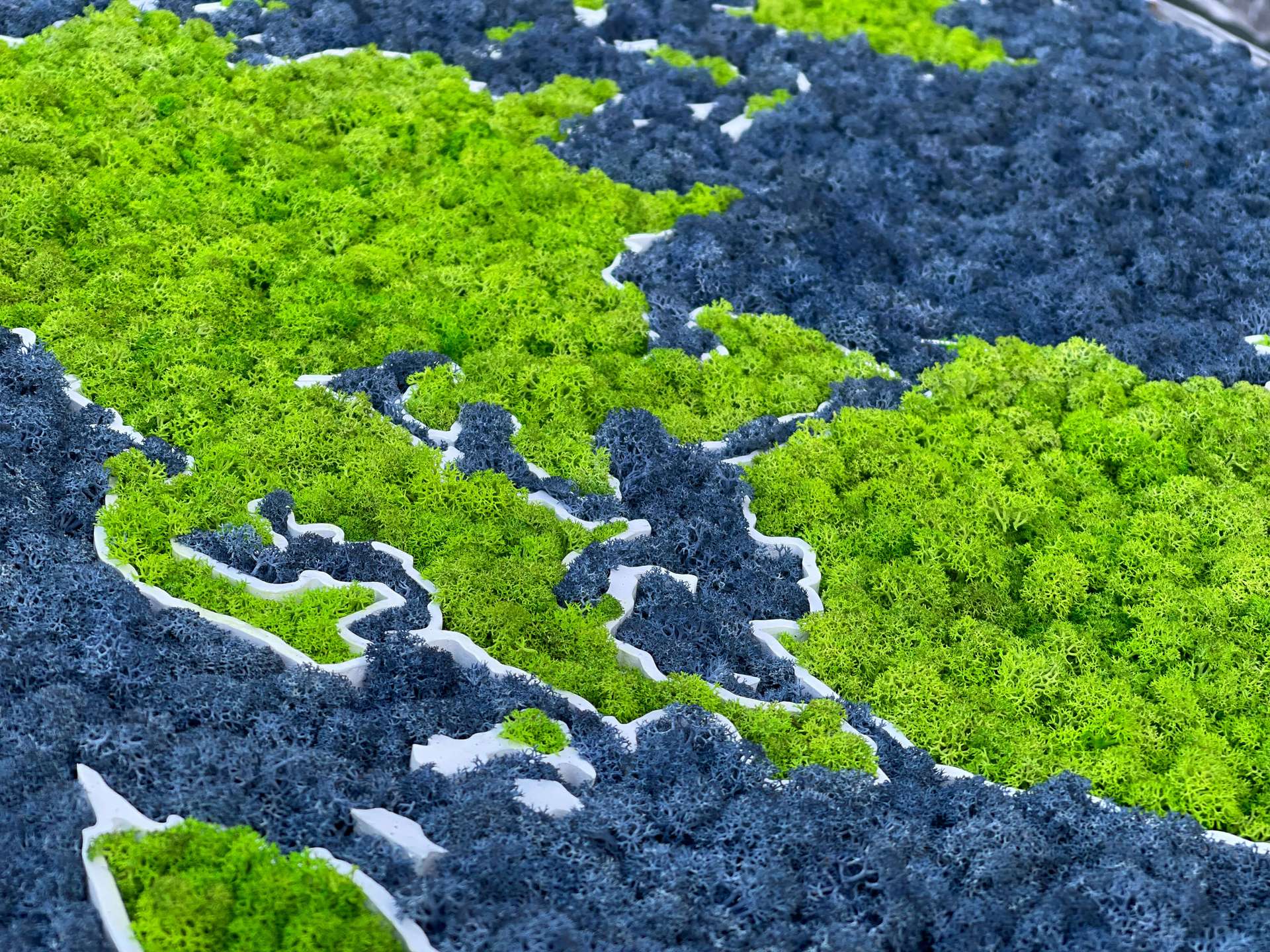 Moss 3D World Map - natural Nordic lichen