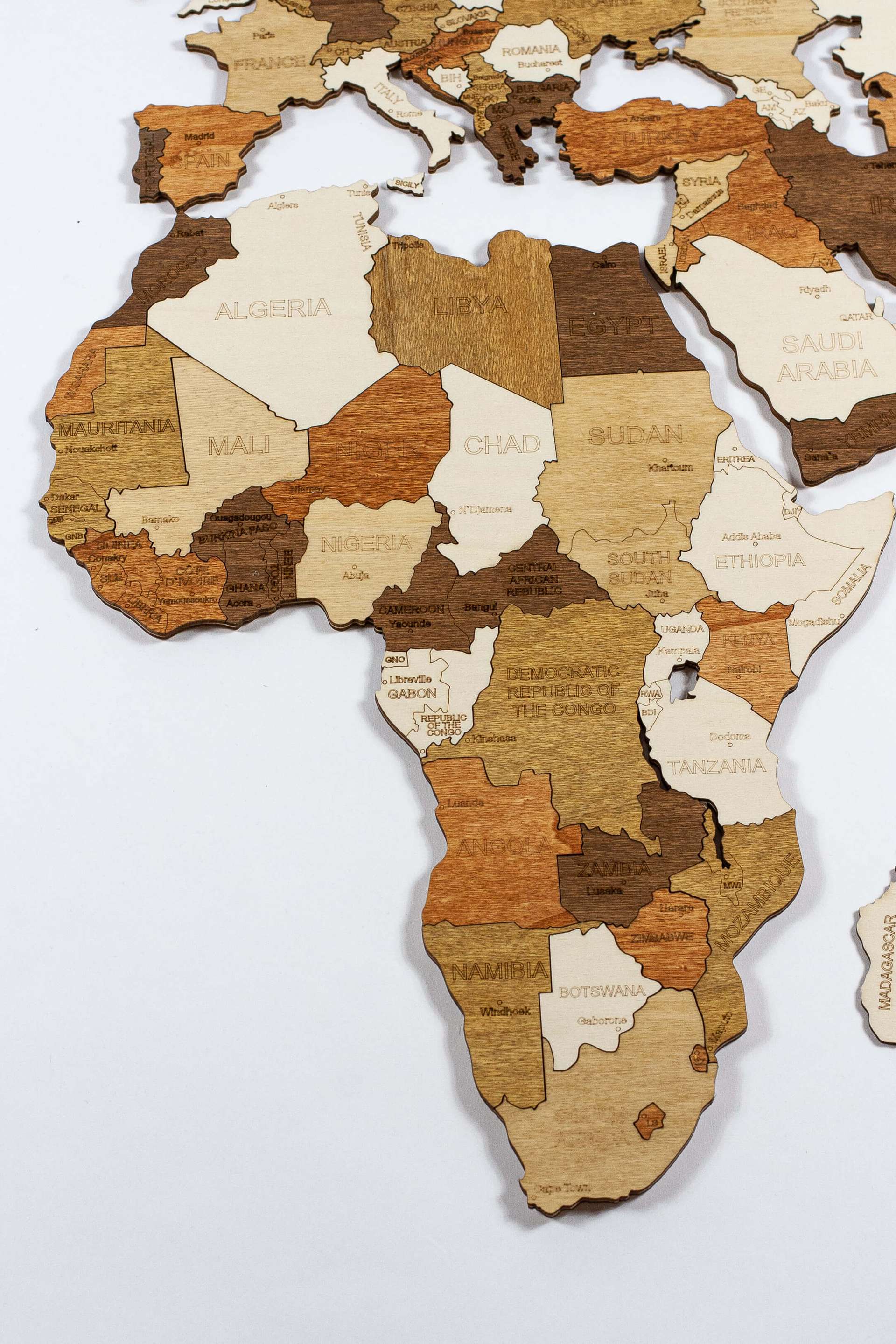 Carte du monde en bois 2D