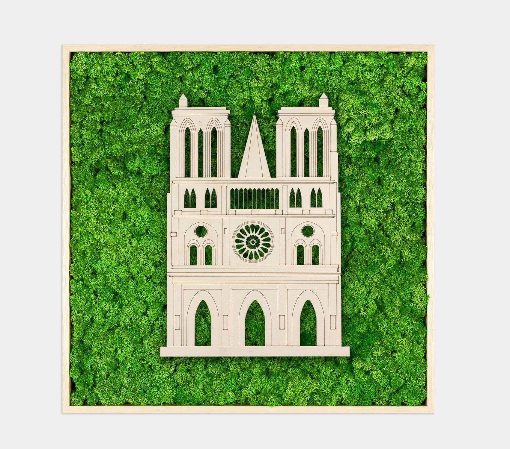 Framed World Landmark Lichen Artwork