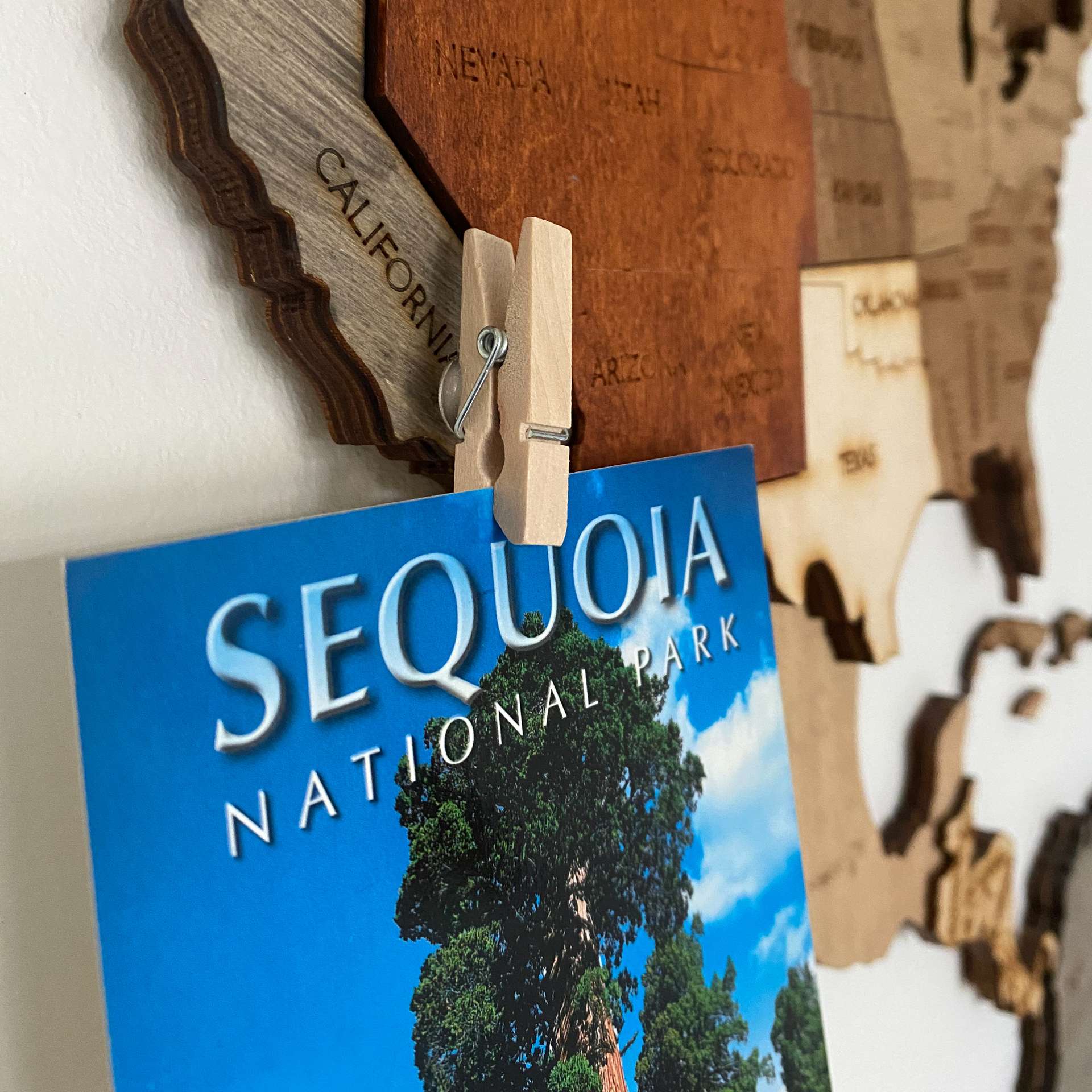 Wooden Photo Clips with Pins