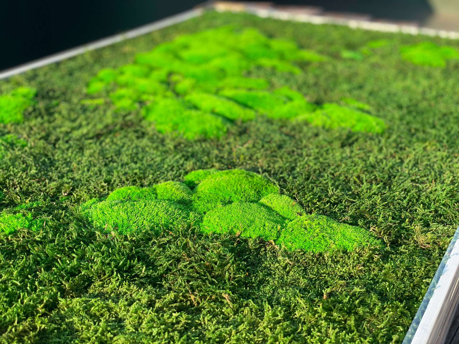 Moss World 3D Map