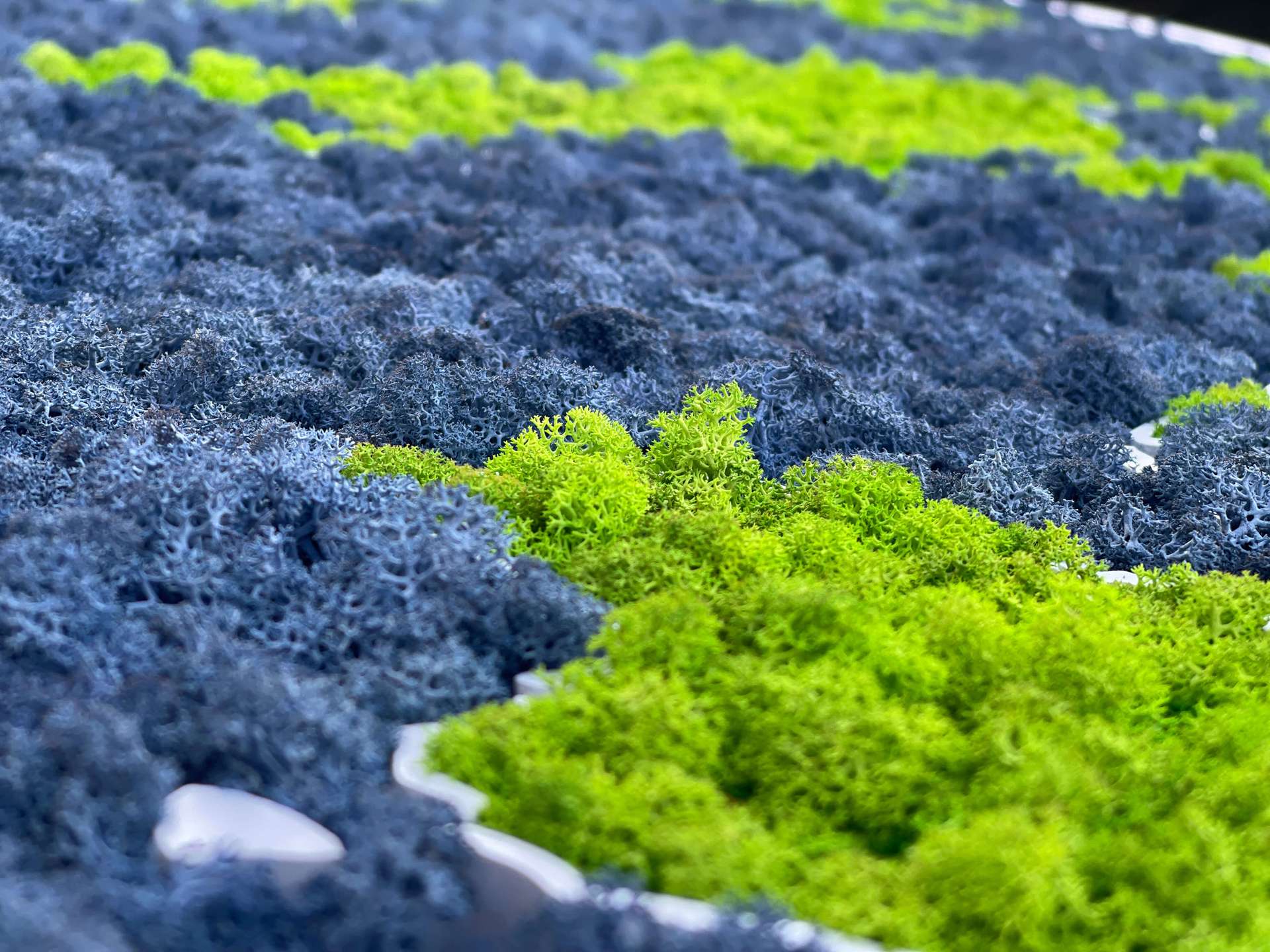 Moss 3D World Map - natural Nordic lichen