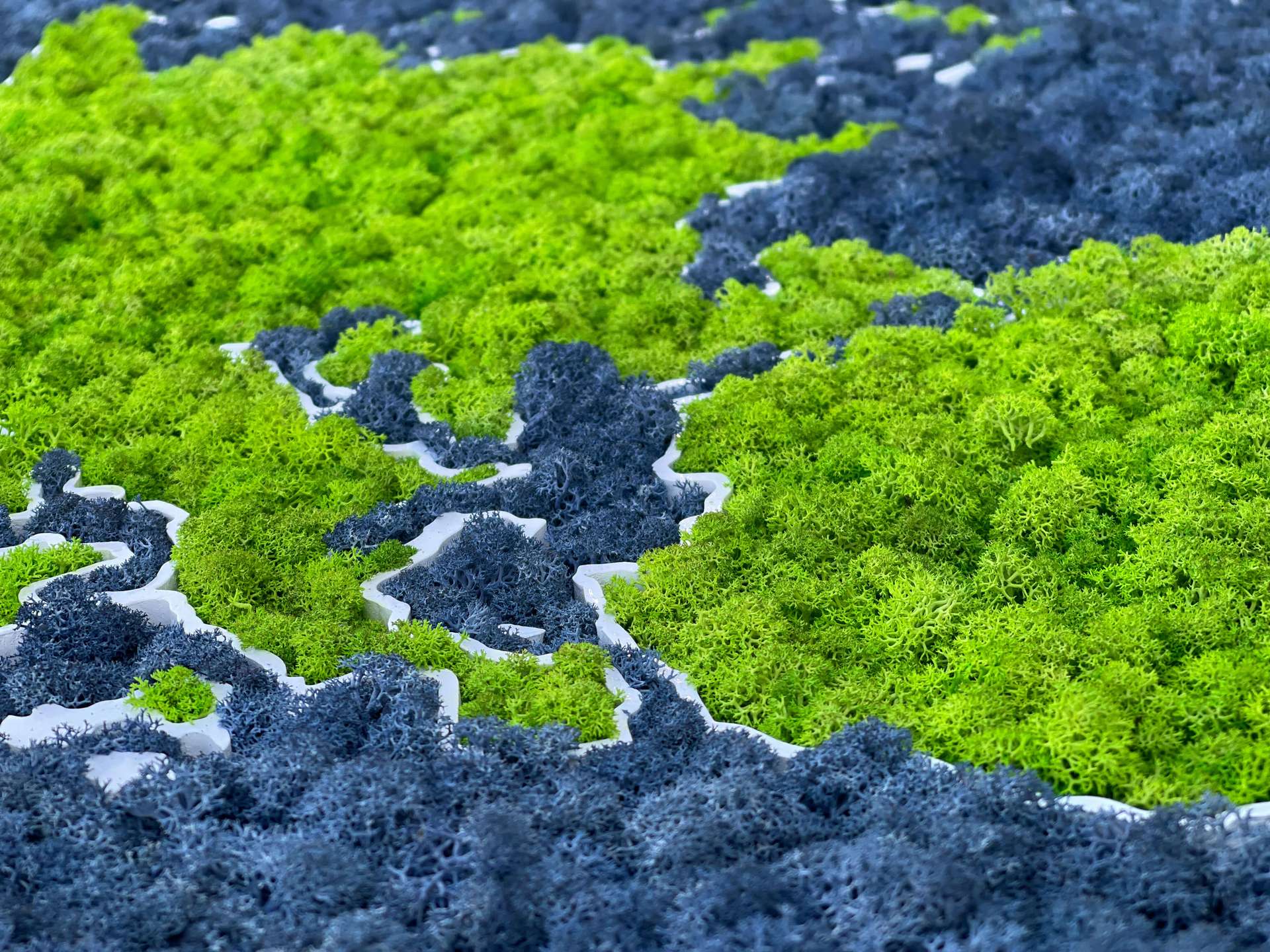 Moss 3D World Map - natural Nordic lichen