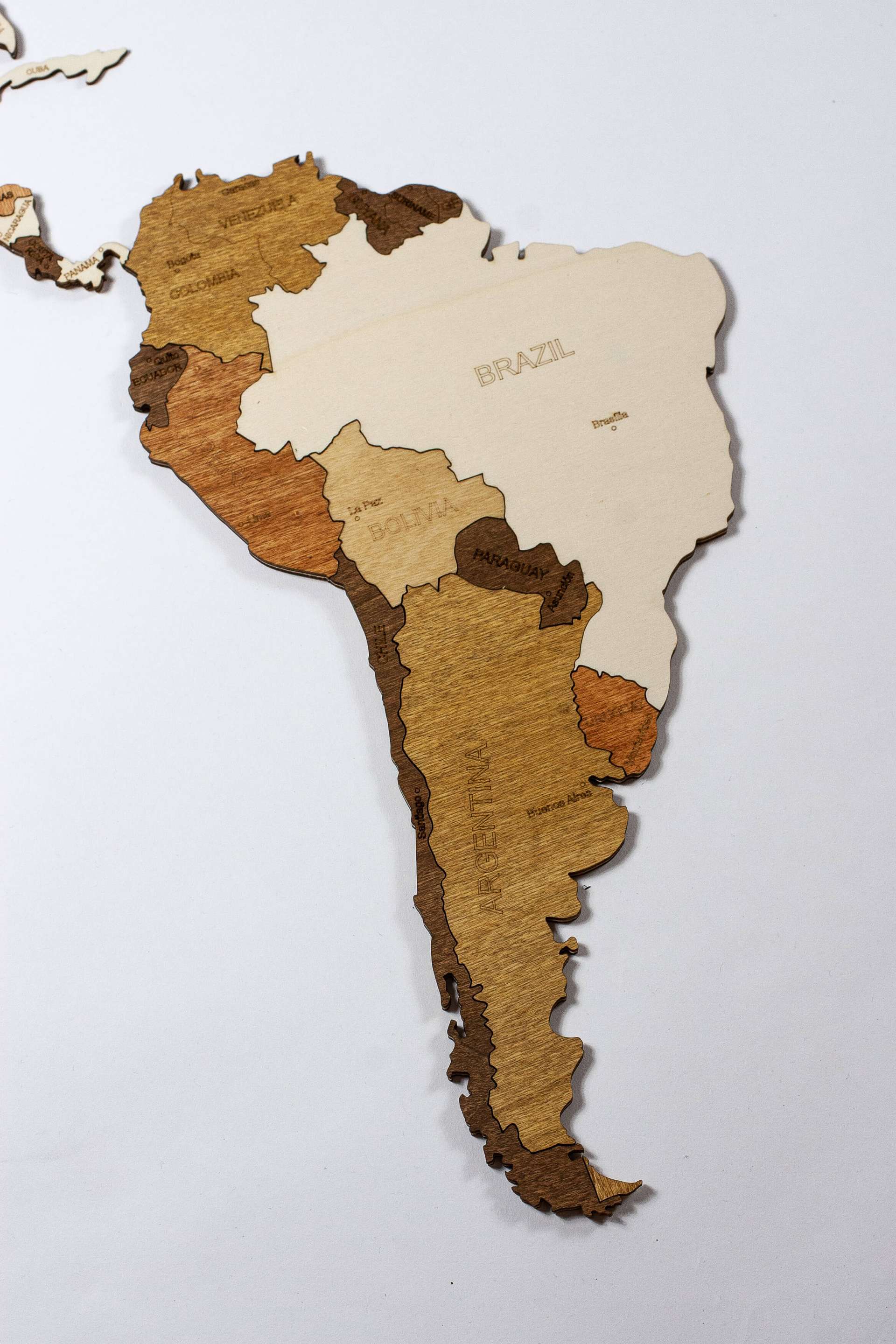 2D Wooden World Map