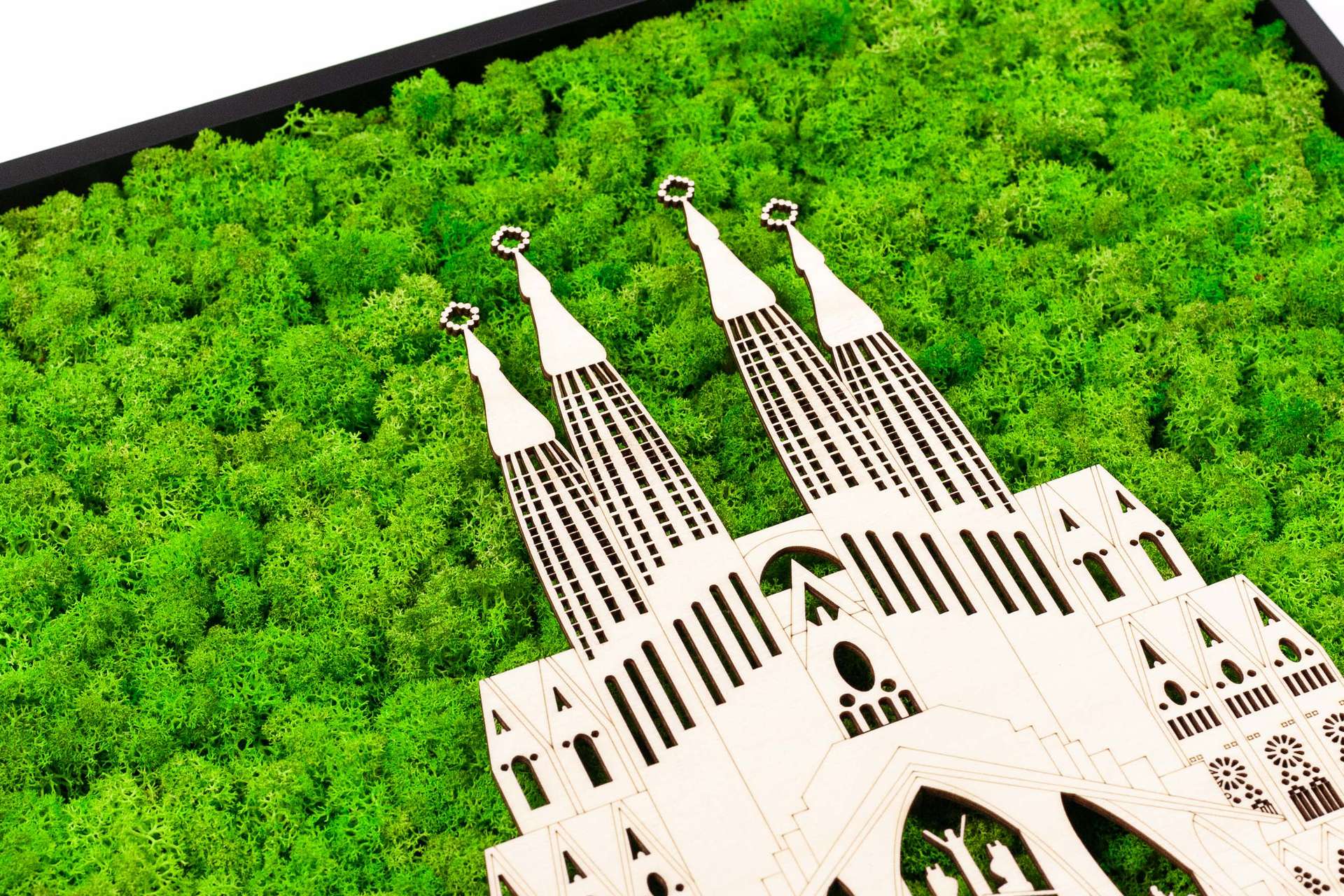 Framed World Landmark Lichen Artwork