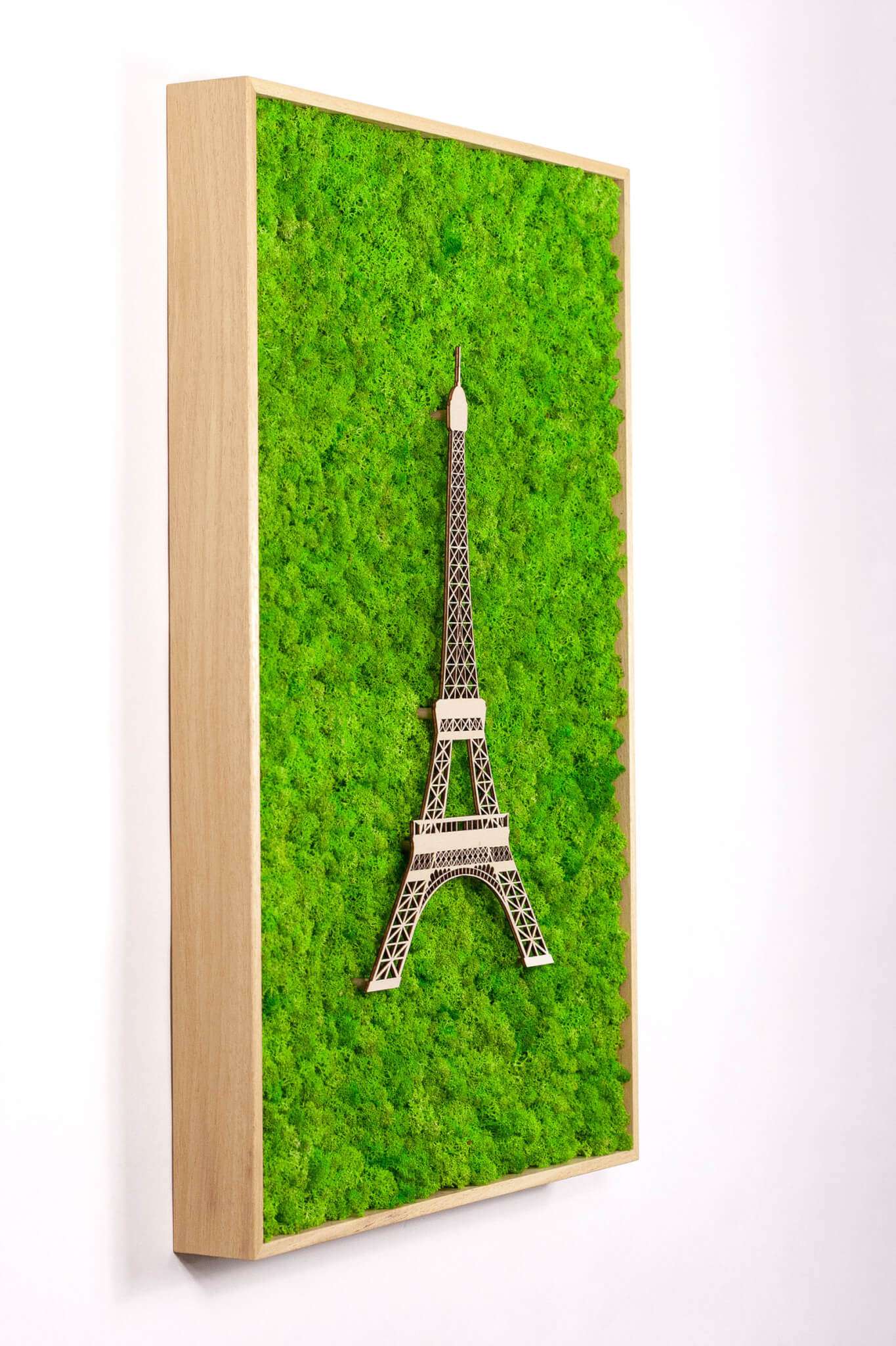 Framed World Landmark Lichen Artwork