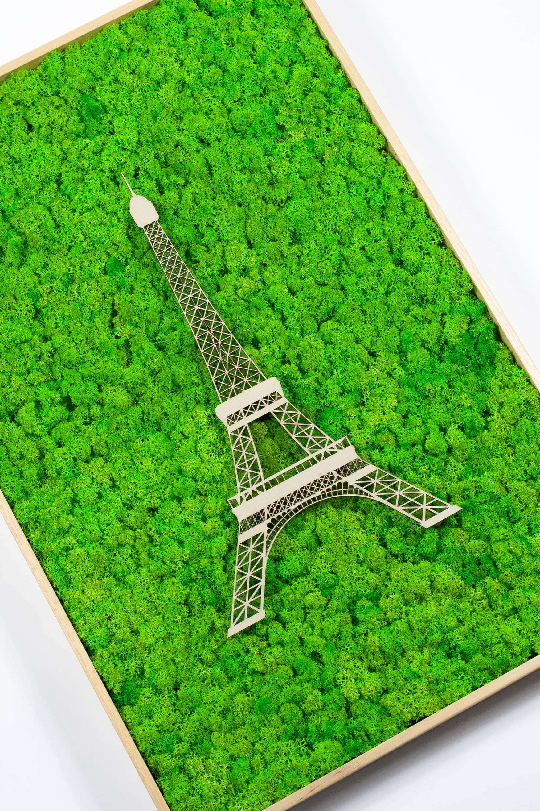 Framed World Landmark Lichen Artwork