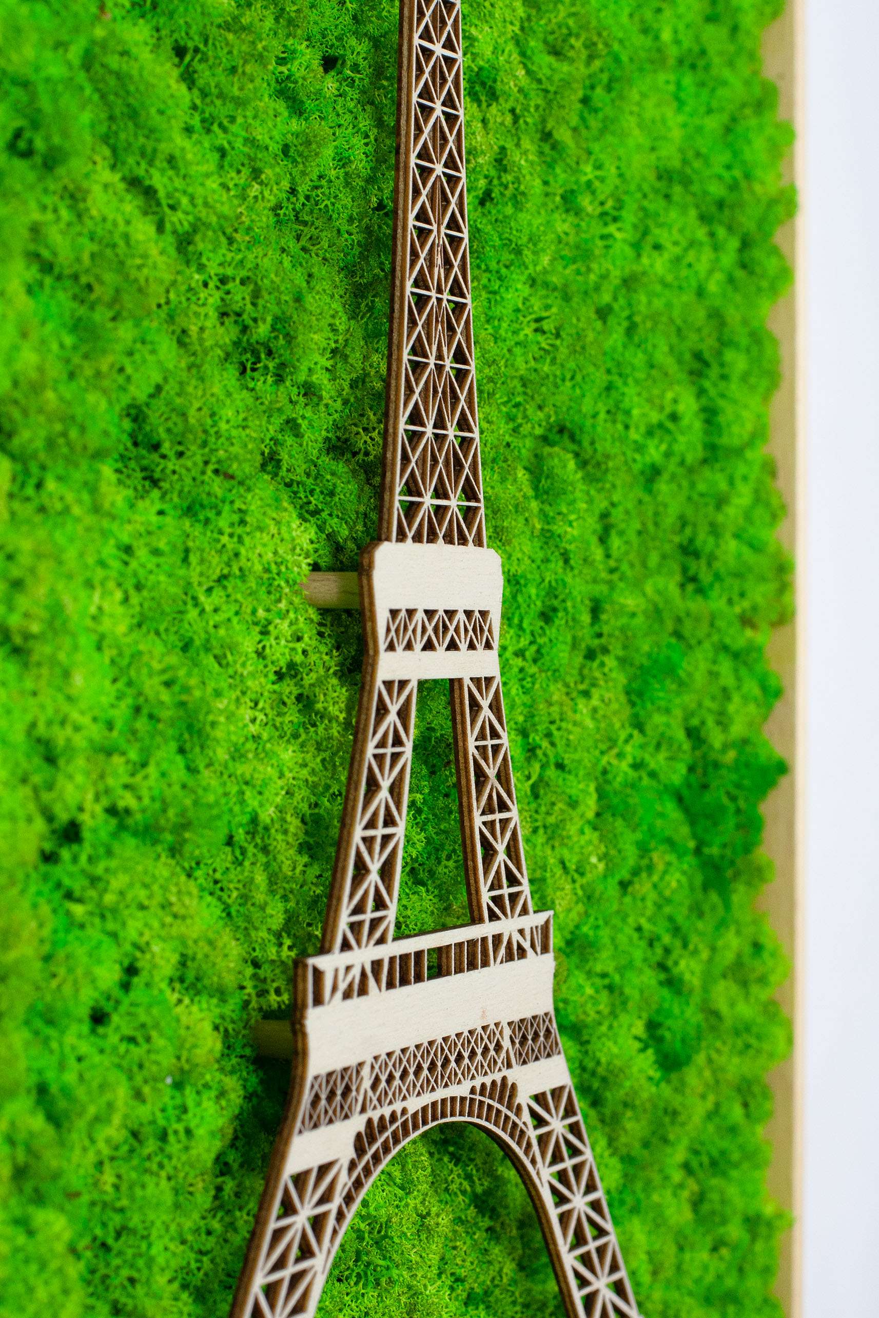 Framed World Landmark Lichen Artwork