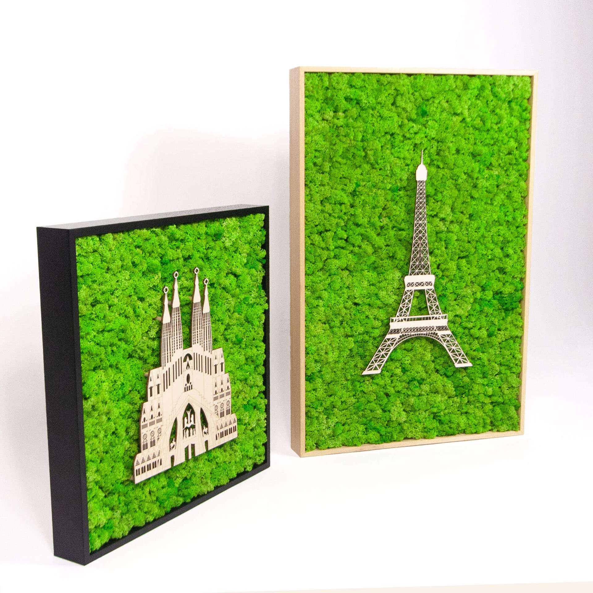 Framed World Landmark Lichen Artwork