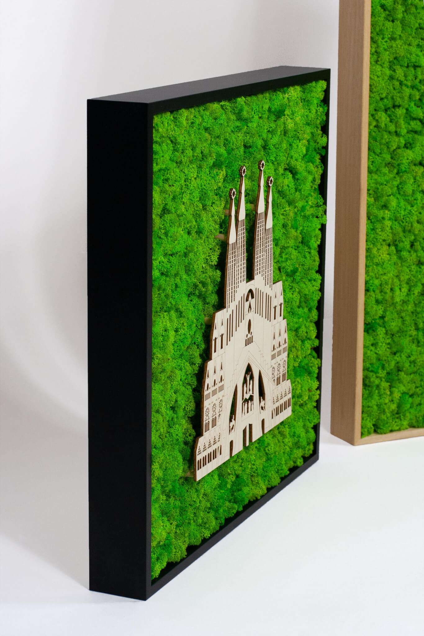 Framed World Landmark Lichen Artwork