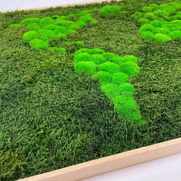 3D Moss Maps