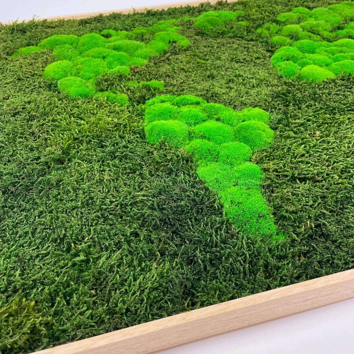 3D Moha térképek