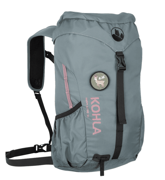 north face backpack names The Women's Borealis Backpack, Pnk Mss Dk Ht/Gardenia Wt-NPF, OS | Everyday Travel Bag, Laptop Sleeve, Reflective Details It can fit laptops Style:A: Aluminum Handle, 50