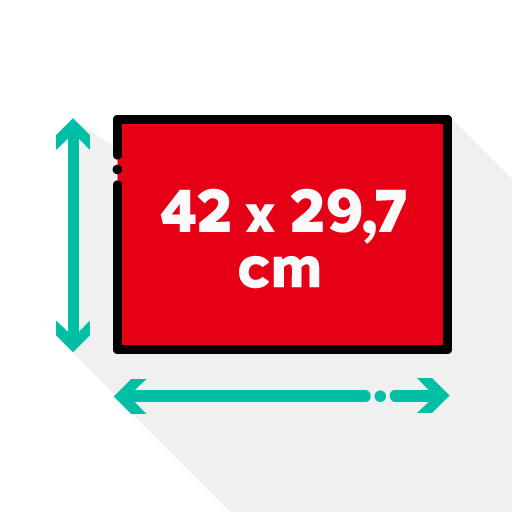 Dimensiones del mapa - tamaño A3: 42 x 29,7 cm