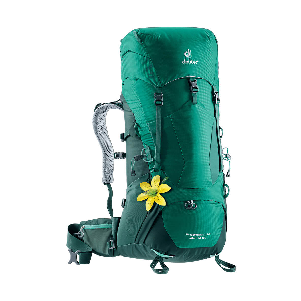 Aircontact Lite 35+10 SL alpinegreen-forest