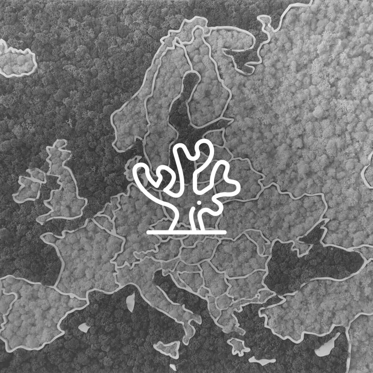 3D Moss Maps