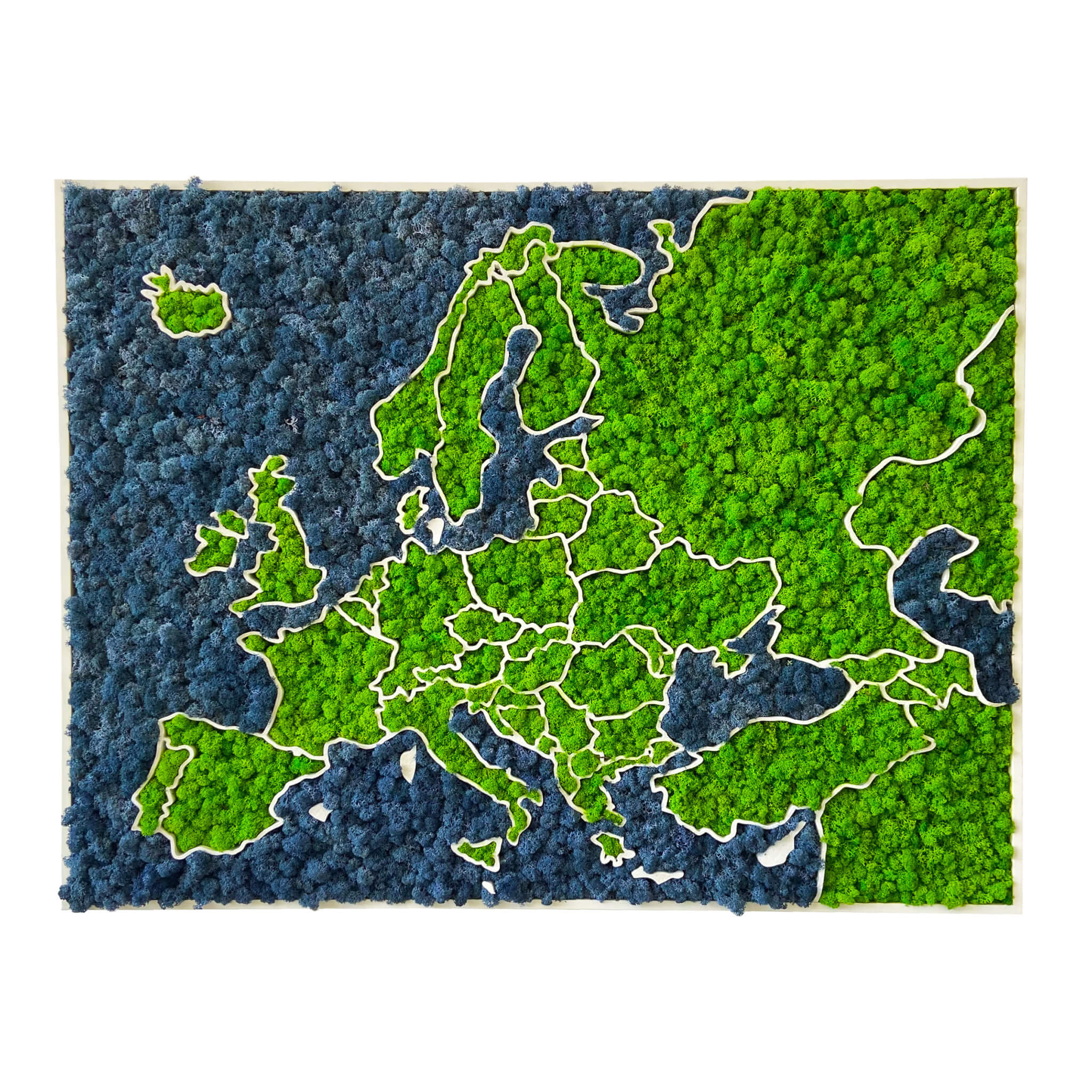 3D Moss Europe Map - organic lichen