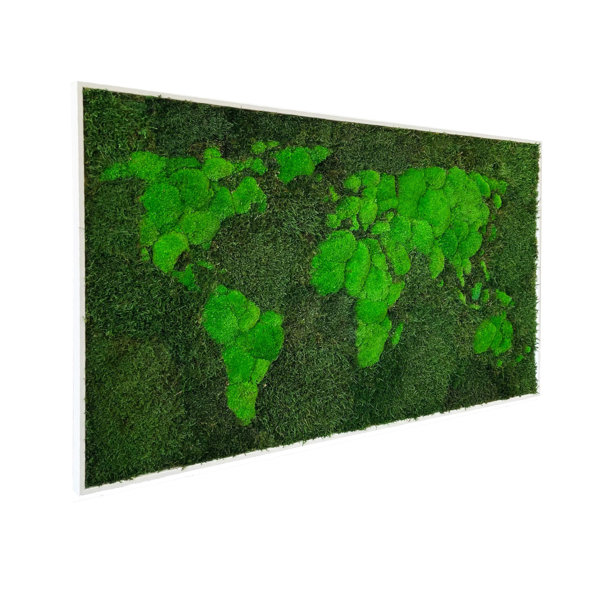 Moss World Map - organic lichen