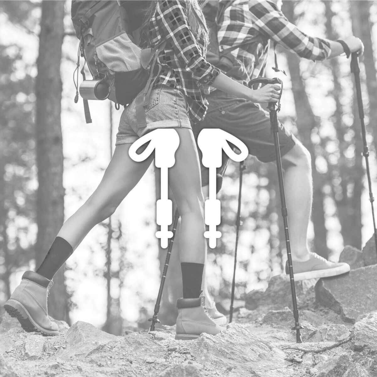 Trekking Poles